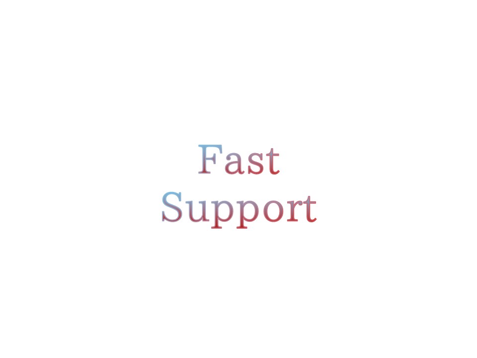 fast support